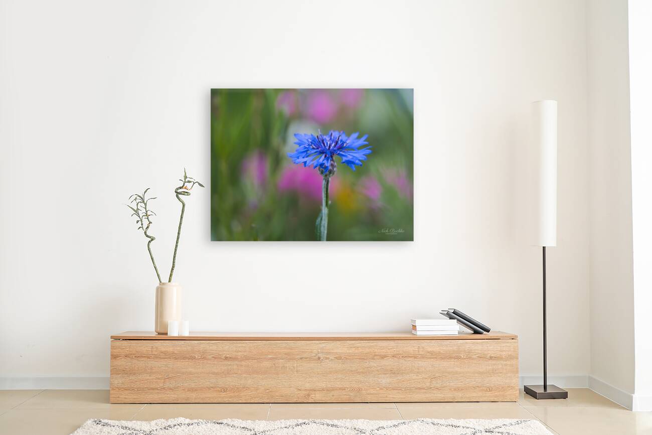 Hope for the Future Reproduction