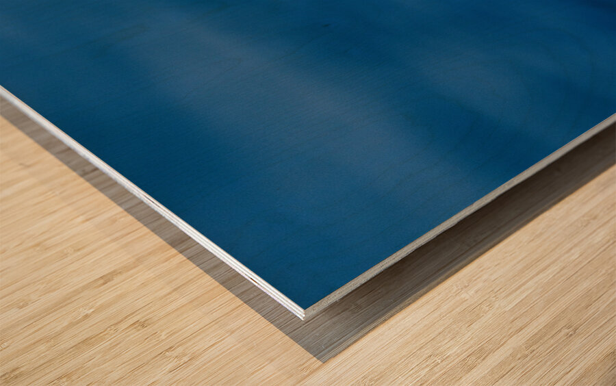 In Flight Wood print