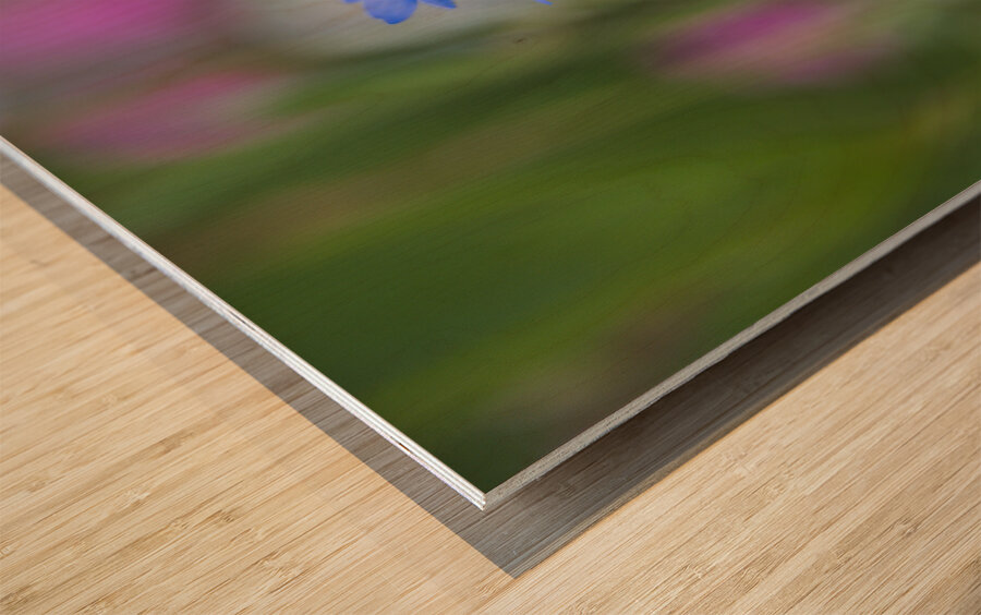 Hope for the Future Wood print