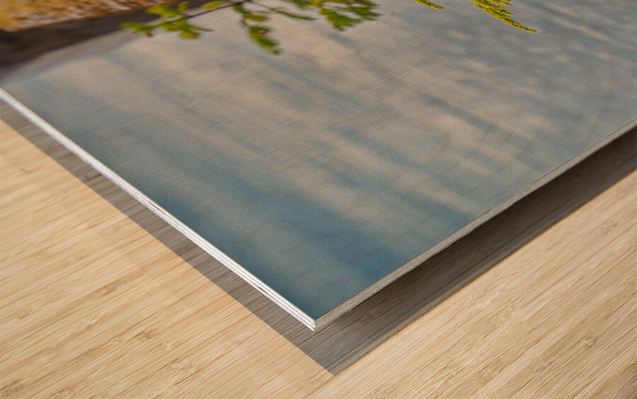 Natures Bonsai Wood print