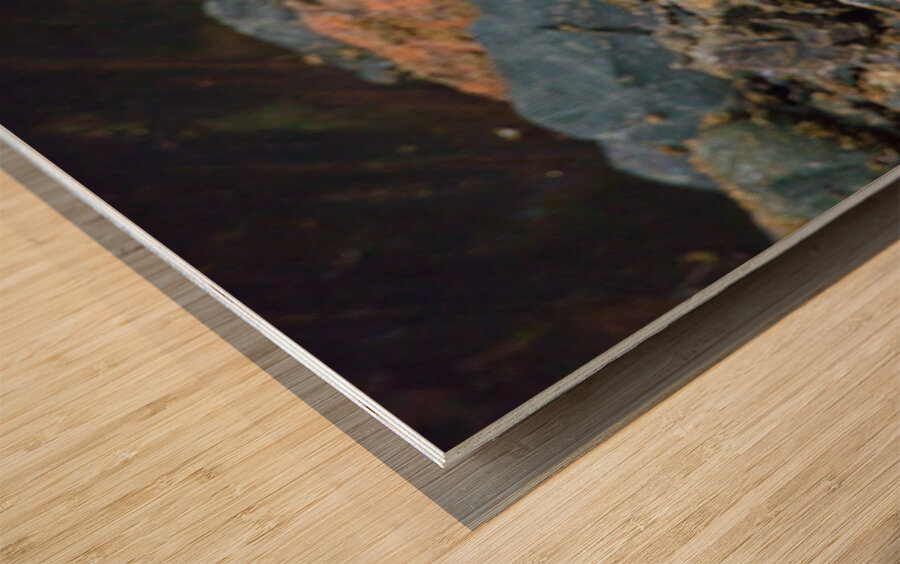 Young Eagle Wood print